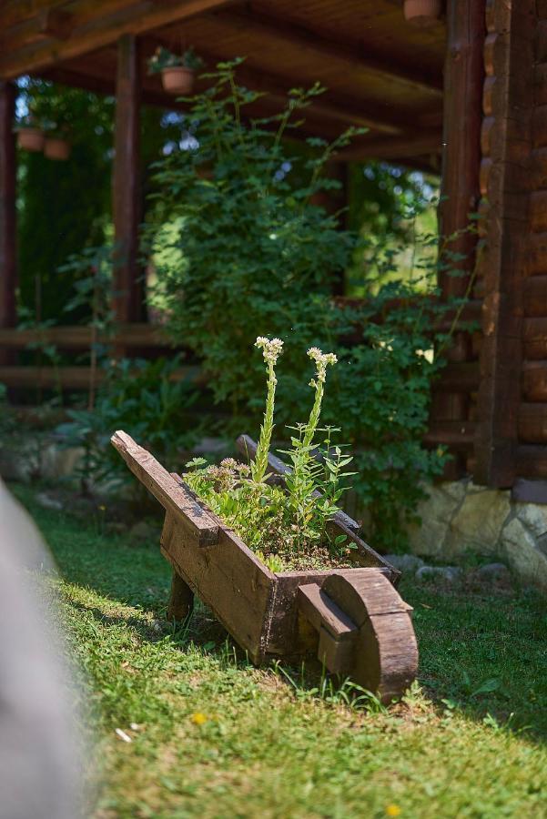Country House Brijest Kolašin Exterior foto